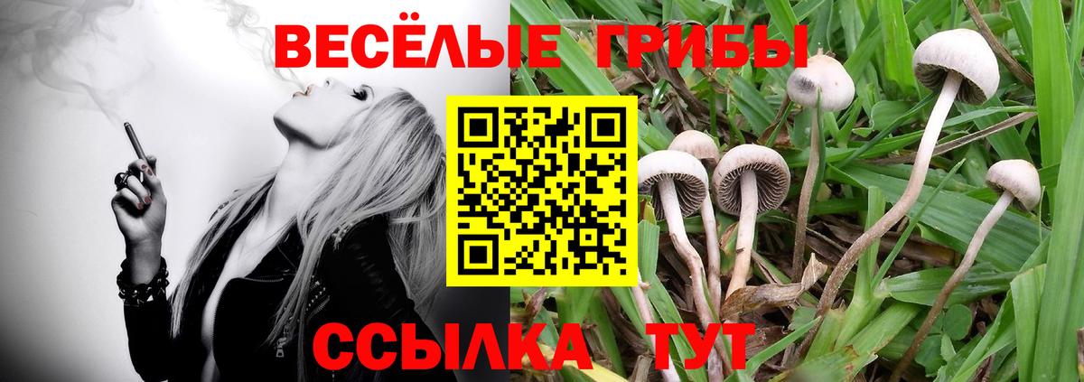 Псилоцибиновые грибы ЛСД Когалым